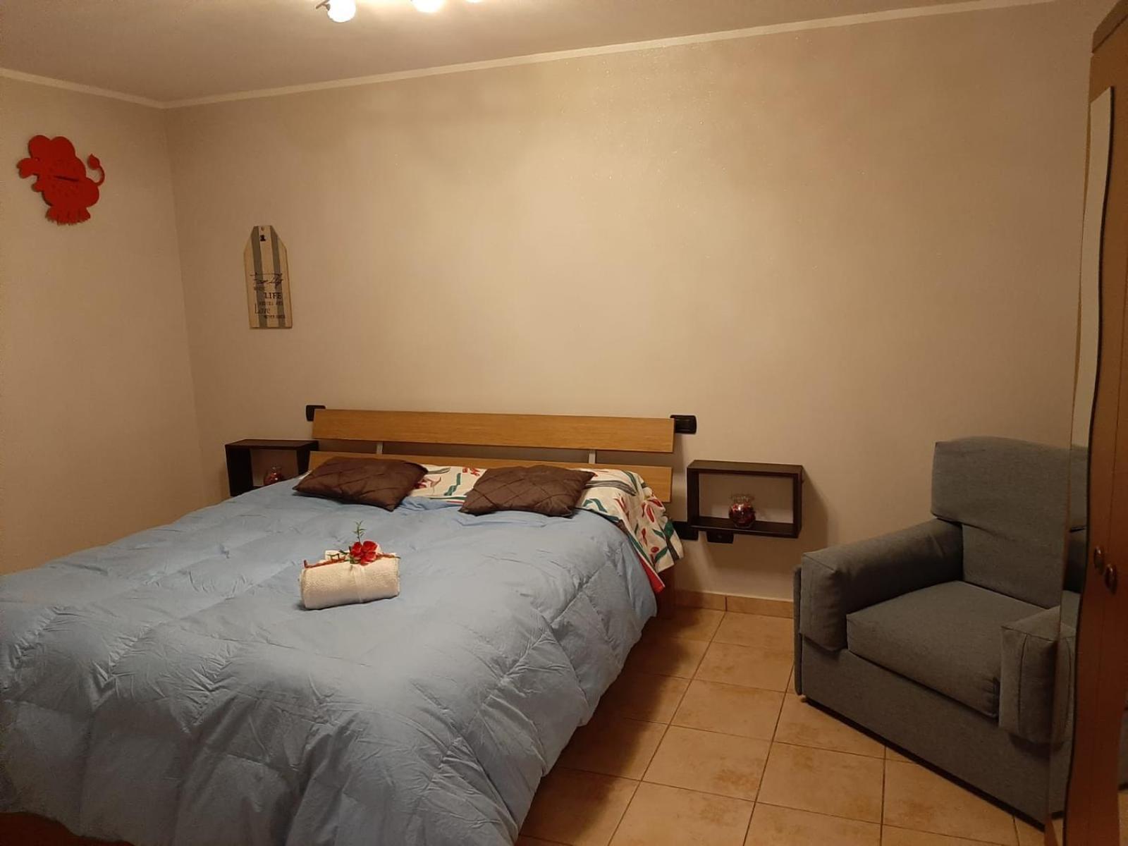 New Home フェルノ 部屋 写真